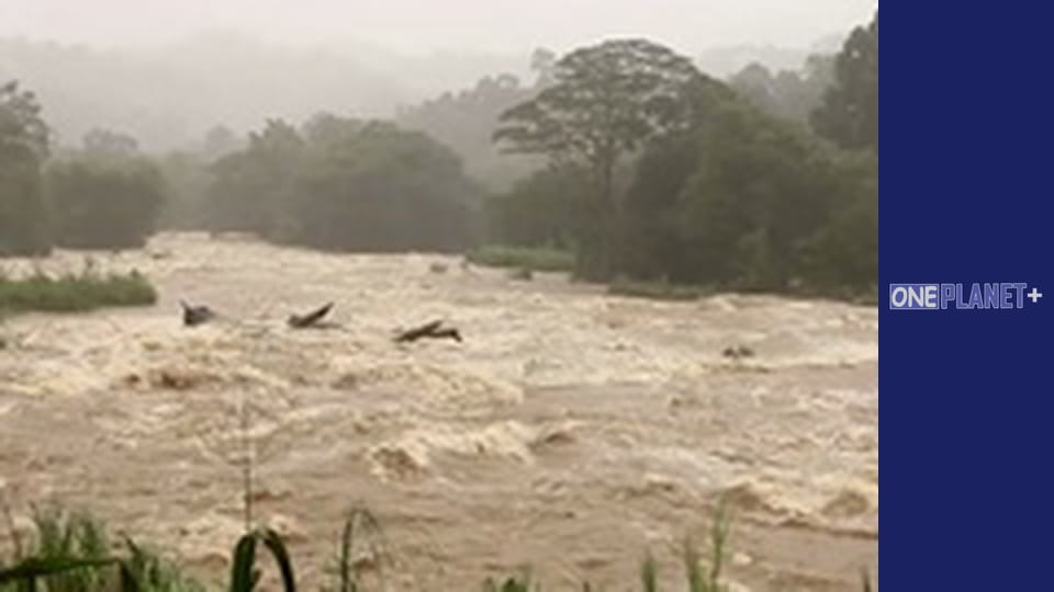 Nature's Force, Season 1, Episode 7