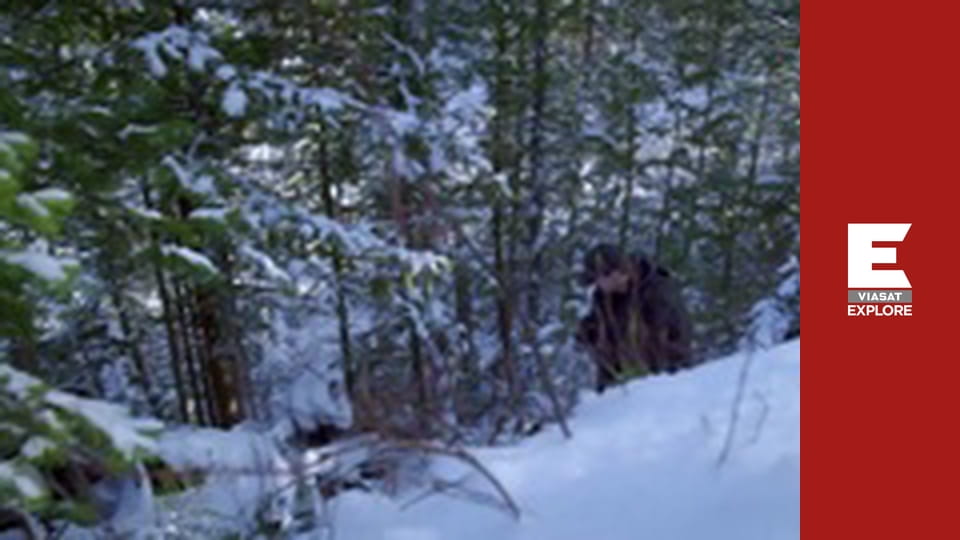 Отчаянные дальнобойщики - Пора поторопиться