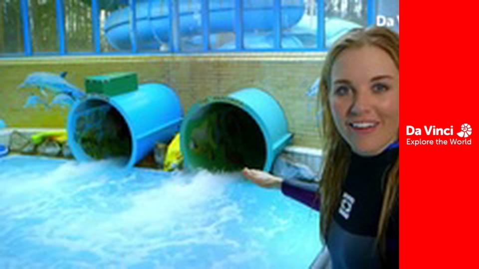 Do You Know? - Water Park Slide & Ice Cream Cones