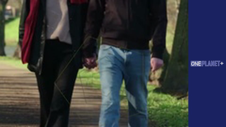 У пошуках знань. - серия 25