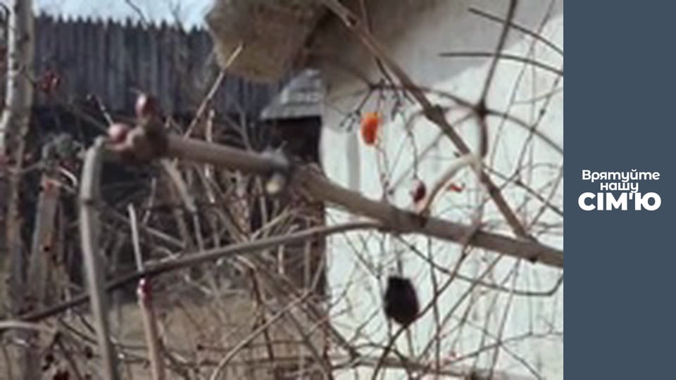 Врятуйте нашу сім'ю - Сезон 4 - Міроненко-1