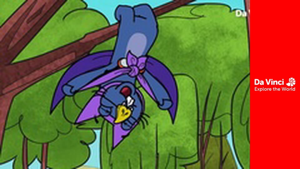 Докі - Докі і кажан