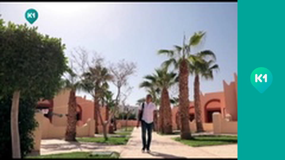 "Орел і Решка. Дайджест".