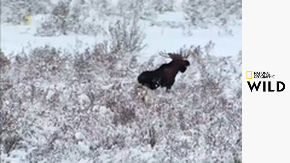 Olśniewająca Ameryka E3 - Wielkie Jeziora