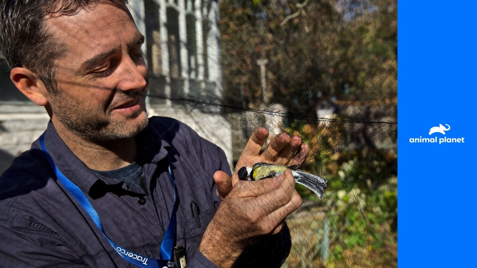 Чернобыль: жизнь после