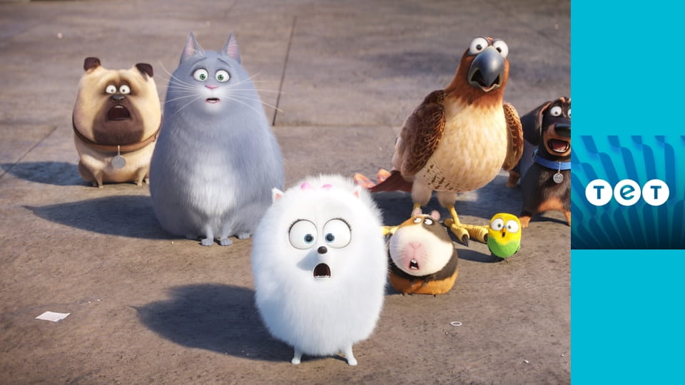 Секрети домашніх тварин