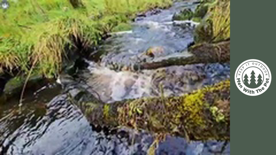 Egy óriási parmezános csirke szendvics