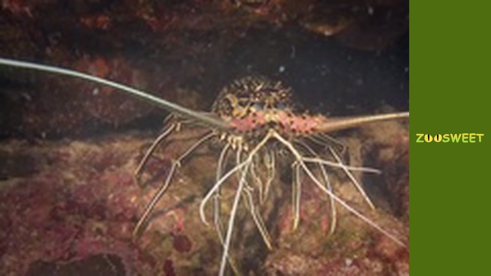 Повернення до природи - серія 6