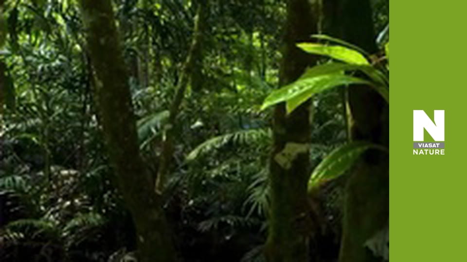 Wildest Latin America - Patagonia