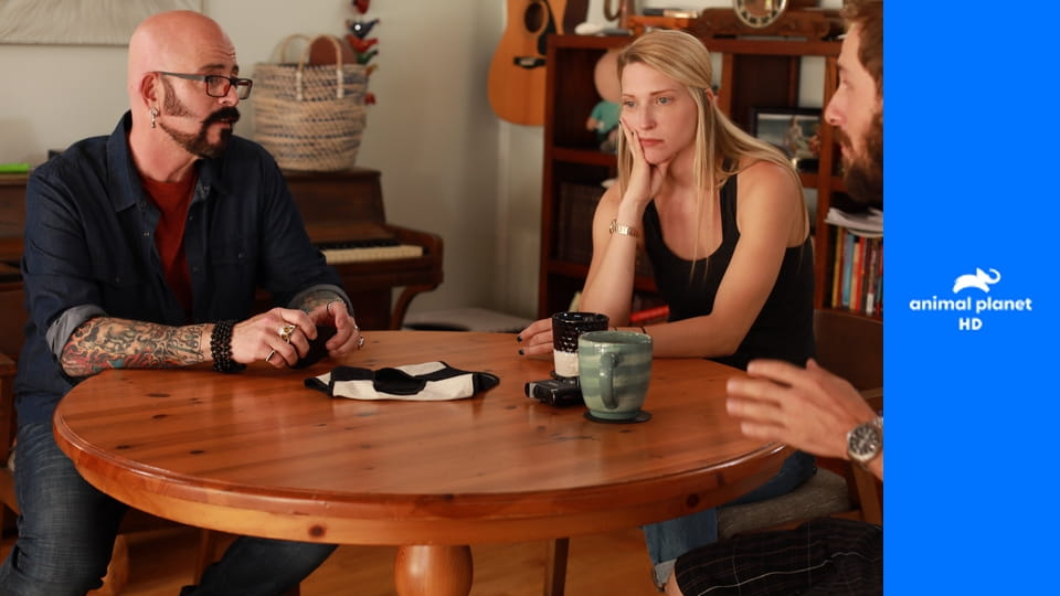 Адская кошка S9E1 - Последняя надежда Флаффи