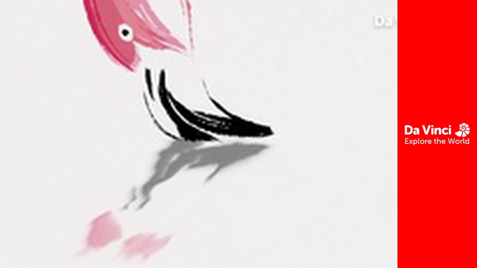 Дитинчата - Фламінго