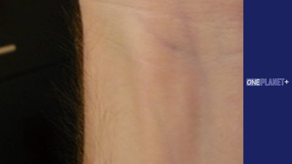 Интересно, Сезон 1, Выпуск 2