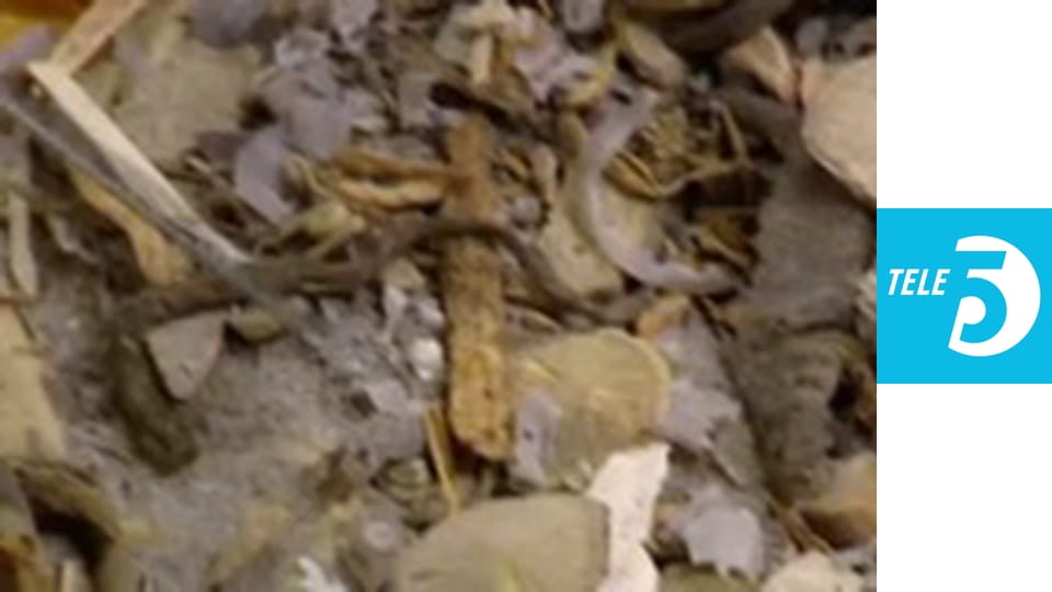 Straż graniczna S5E6