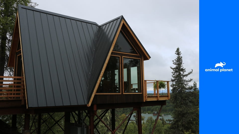 Дома на деревьях S6E6 - В краю холмов