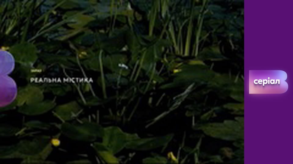 "Реальна містика", 2 сезон, 15 еп. "Тихі заводі".