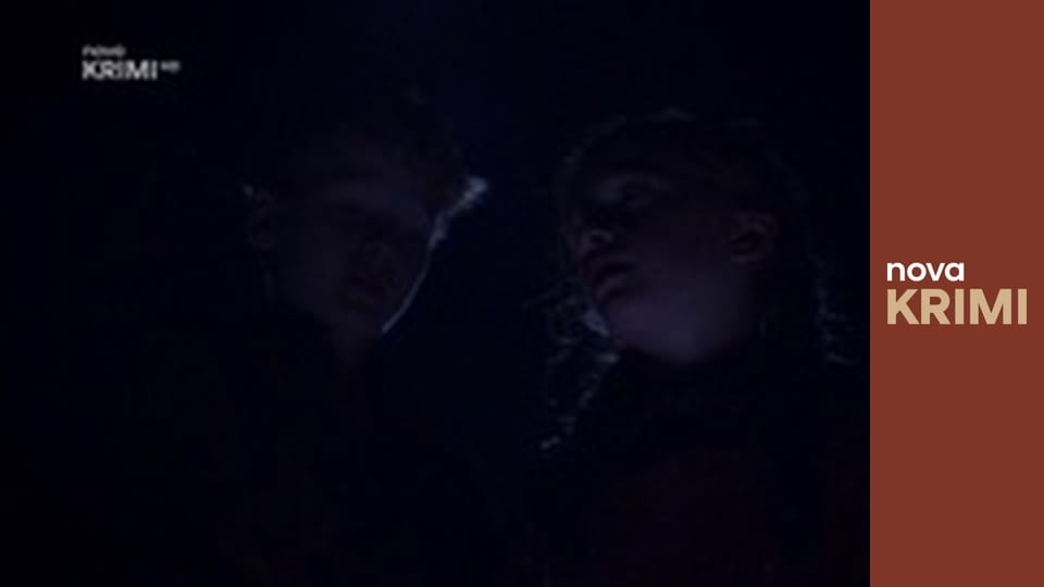 Myšlenky zločince S12E6