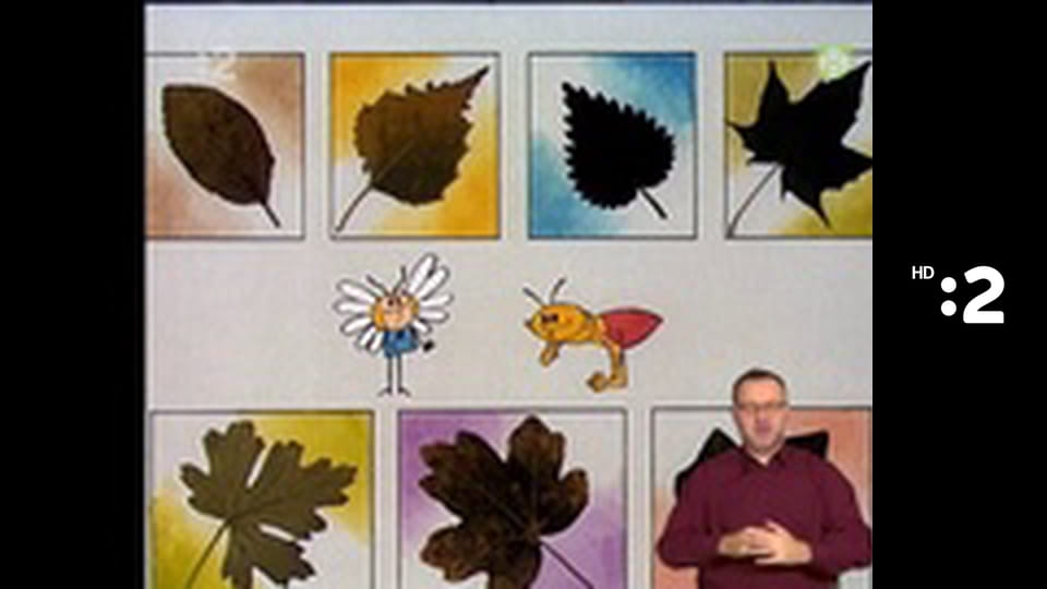 Medvedík Pompon S2E41 - Sen o poklade