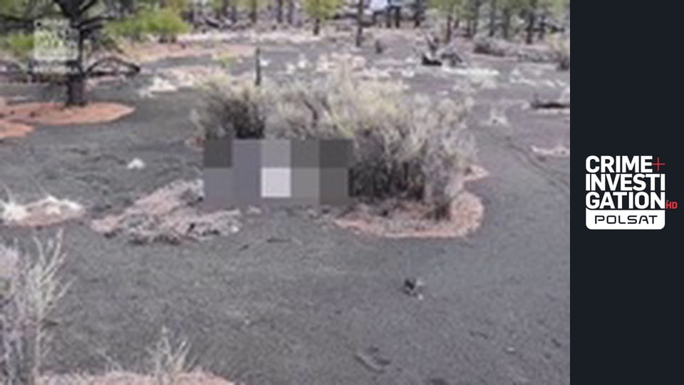 To wszystko przez ciebie S1E6 - Uraza i broń