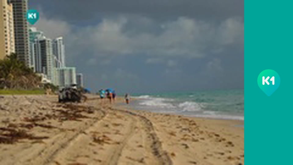 "Інший світ".