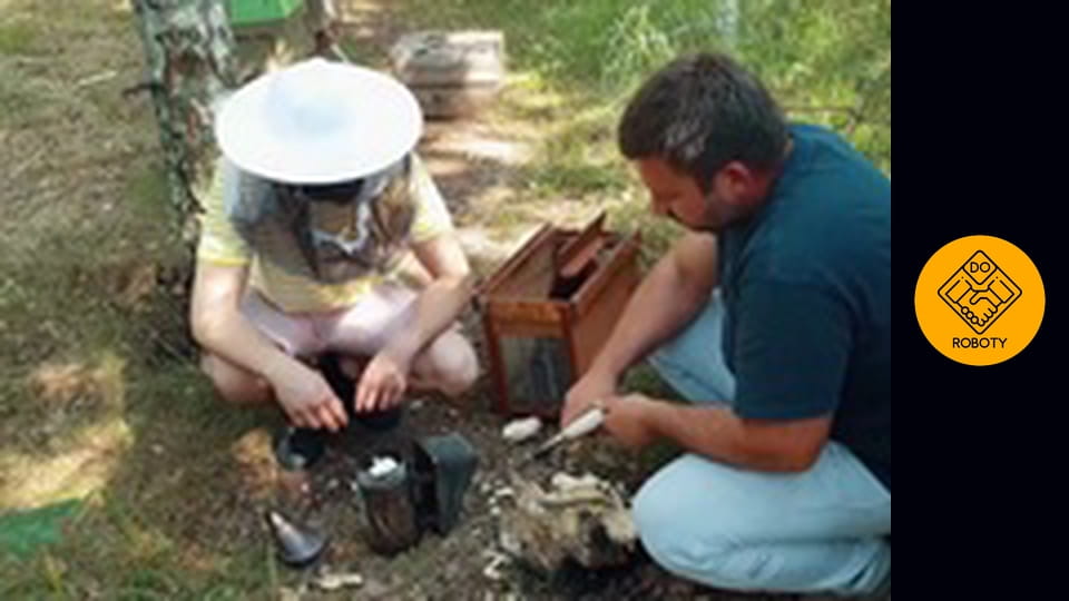 Jak opiekować się pszczołami