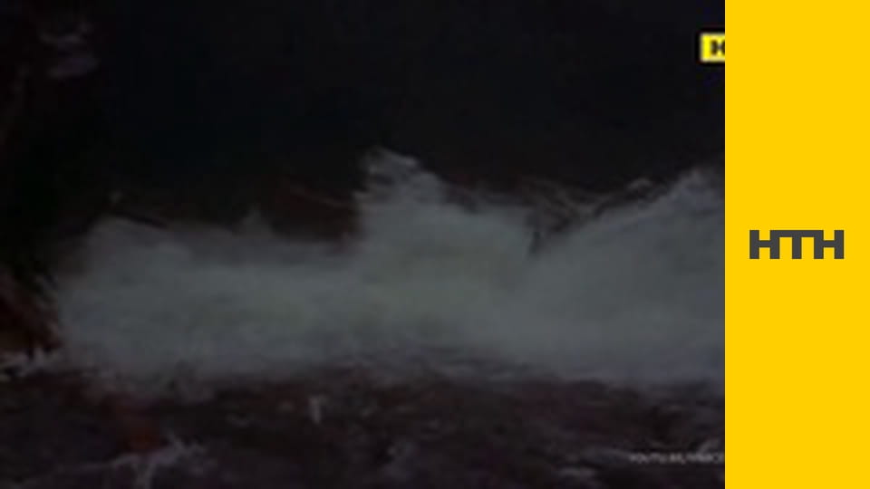 "Випадковий свідок".