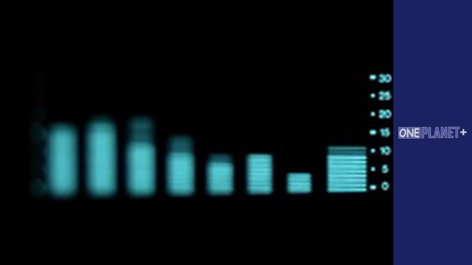 Цікаво, Сезон 1, Випуск 4