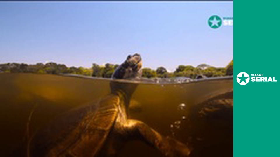 Д/с "Америка", 4 с.