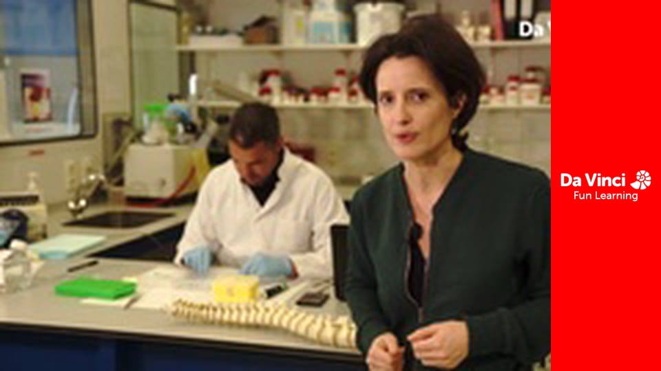 Футурис - Поиск нового лекарства от остеоартроза