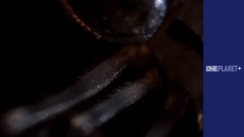 In search of knowledge. - episode 13