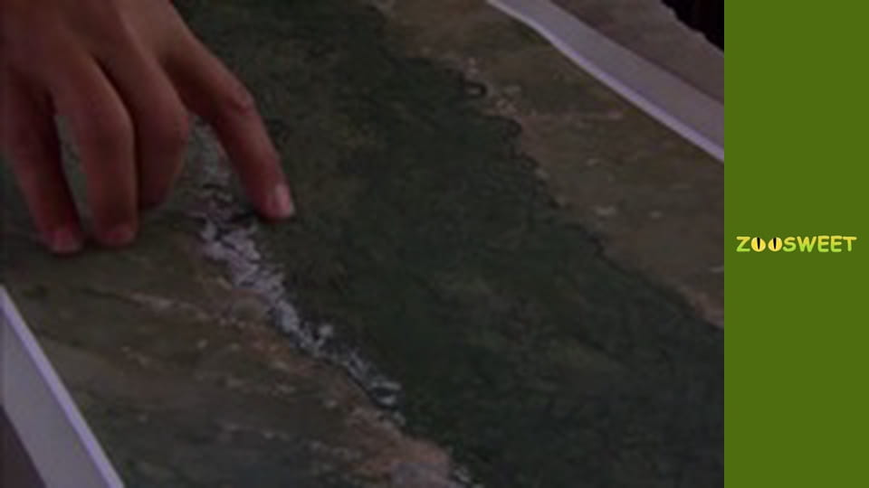 Боротьба за виживання, Сезон 1, Випуск 23