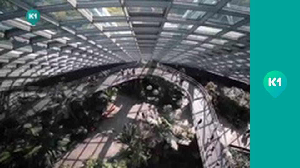 "Приключения с Яной Метёлкиной".