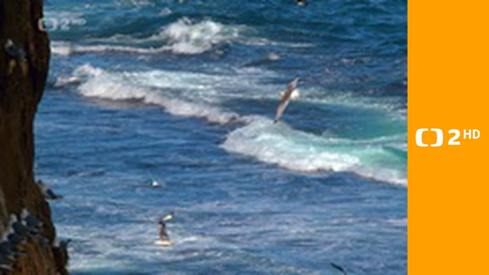 Strategie rozmnožování v přírodě E1