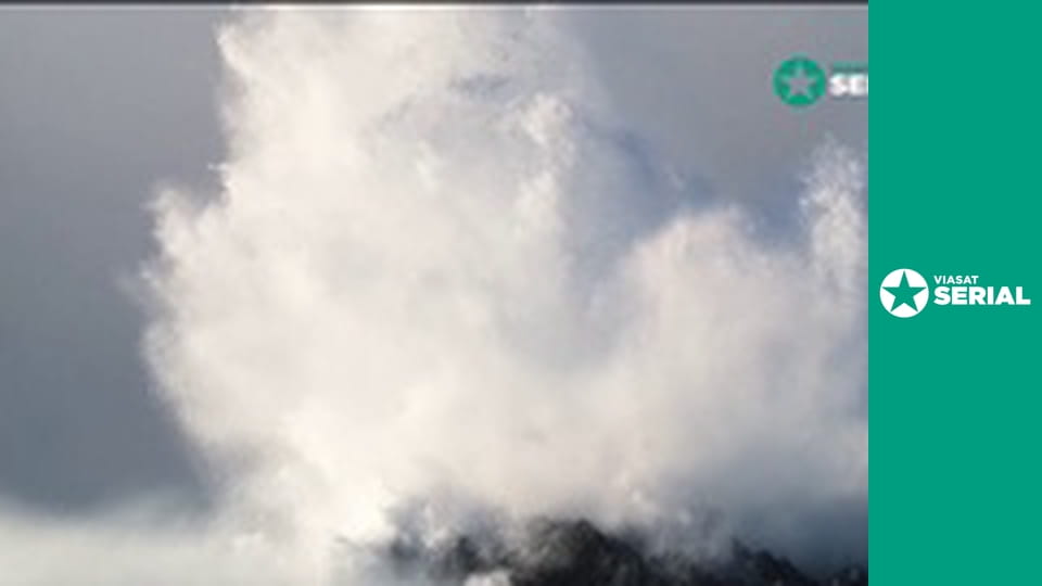 Д/с "Америка", 9 с.