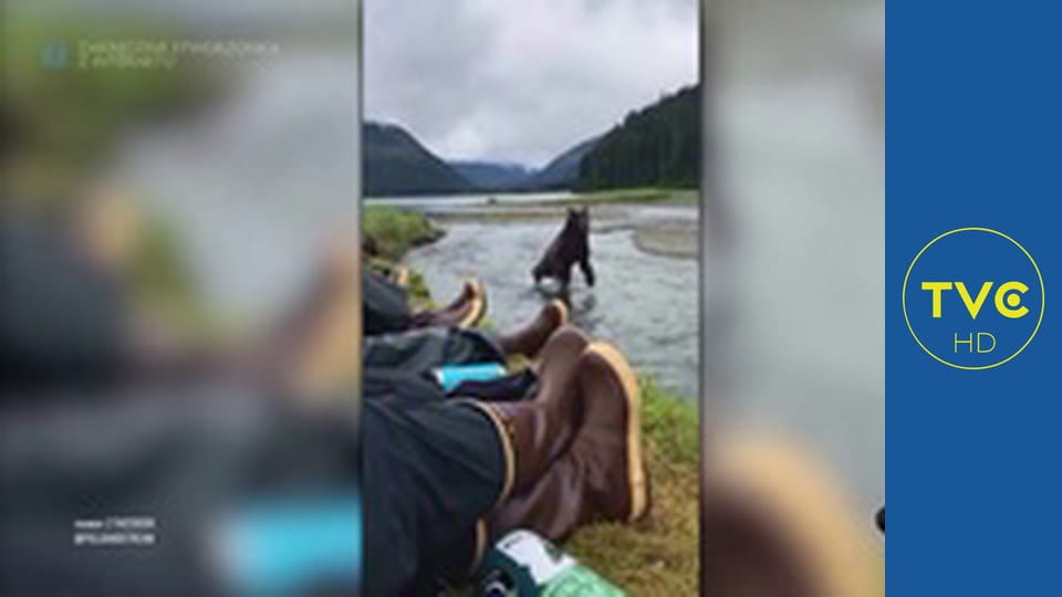 Zakręcone stworzonka z Internetu S2E12