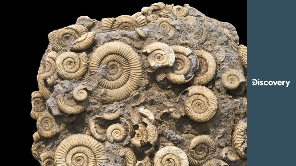 Как это устроено? S12E1 - Пневматические гаечные ключи