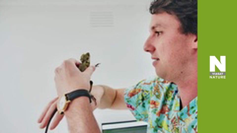 Кліника дивних тварин - Серія 2