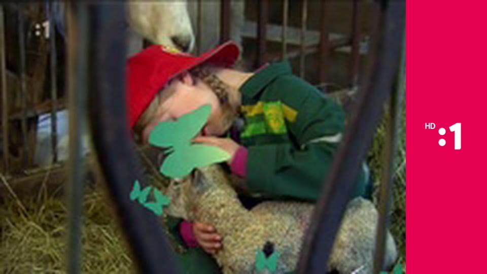 60 zabijakov divočiny E6