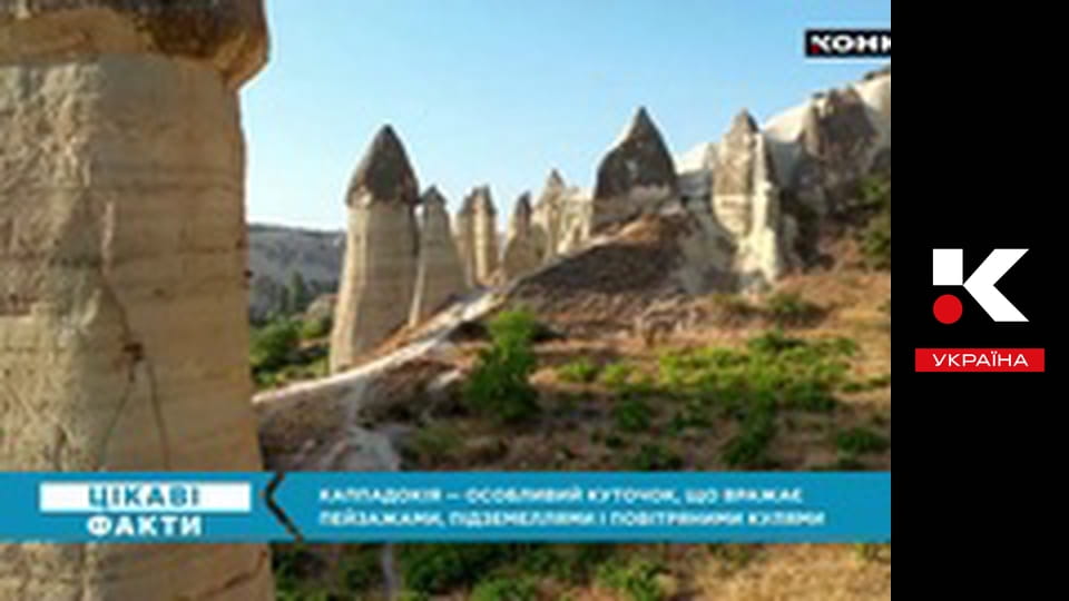 Цікаві факти.