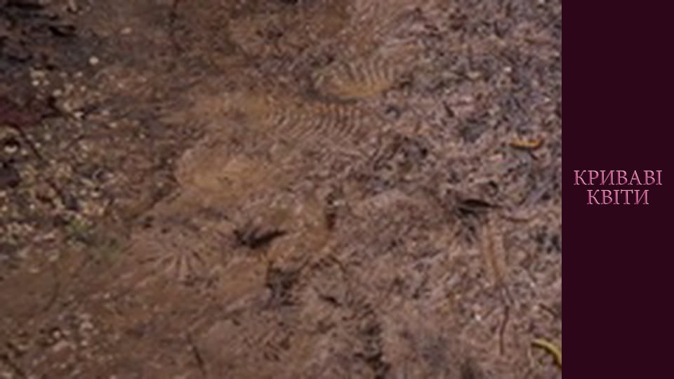 Blood flowers Season 1 Episode 99