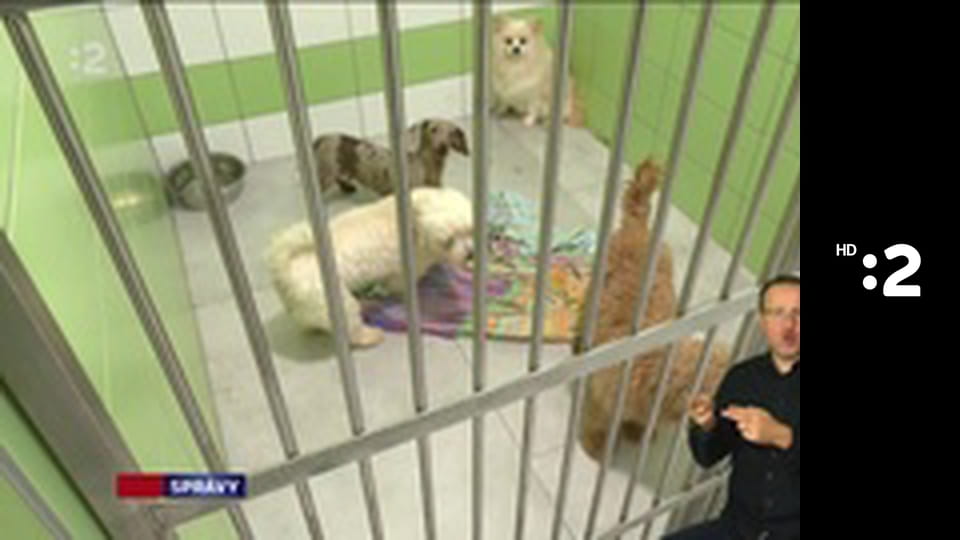 Správy - Hírek E223