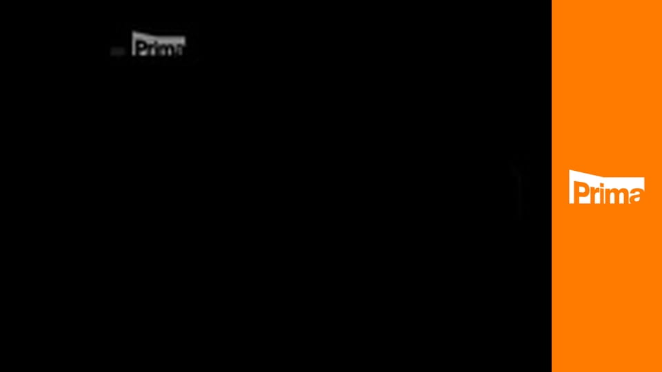 Příhody Bolka a Lolka - Muzikanti