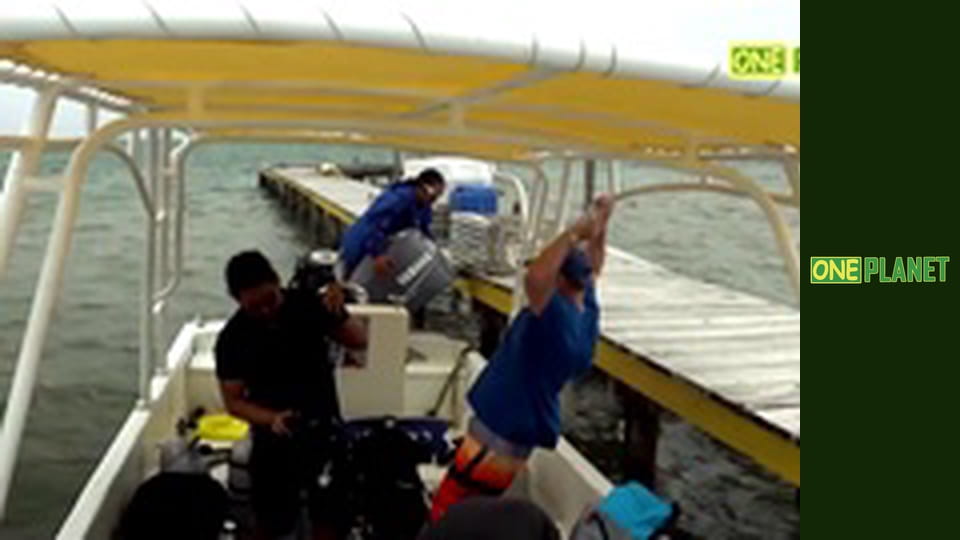 Мир морских глубин, 26 эп.