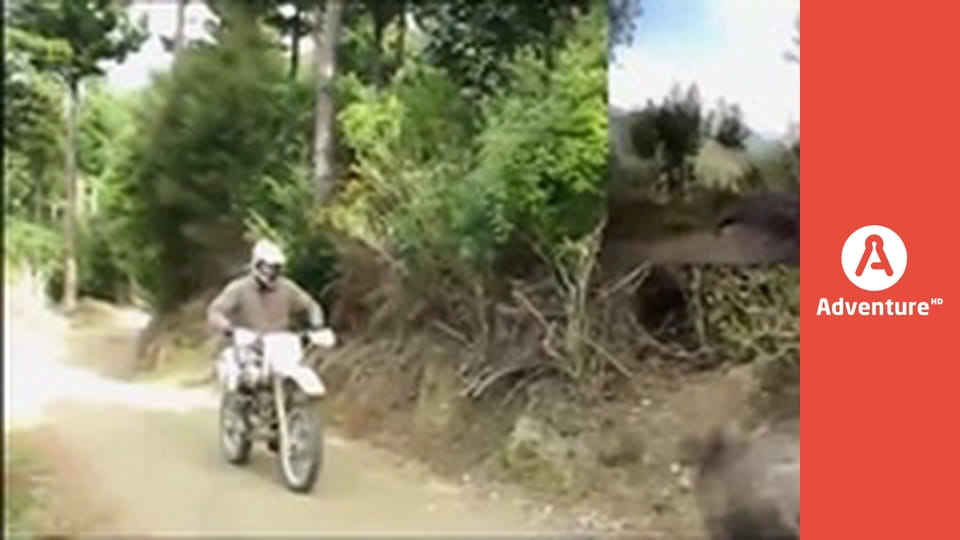 Szaleńcy za kółkiem E3