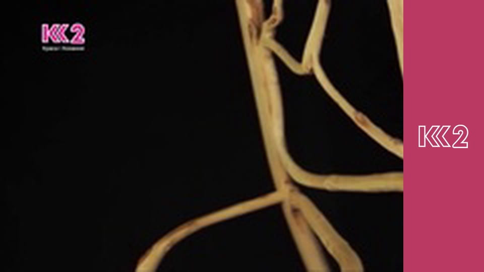 Готуємо Разом. Випічка E16 - Італійська випічка