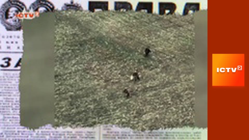 "Антизомбі".