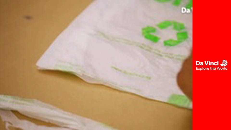 Hands Up! - Pom Poms