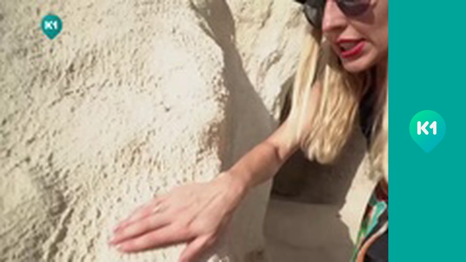 "Пригоди з Яною Метьолкіною".