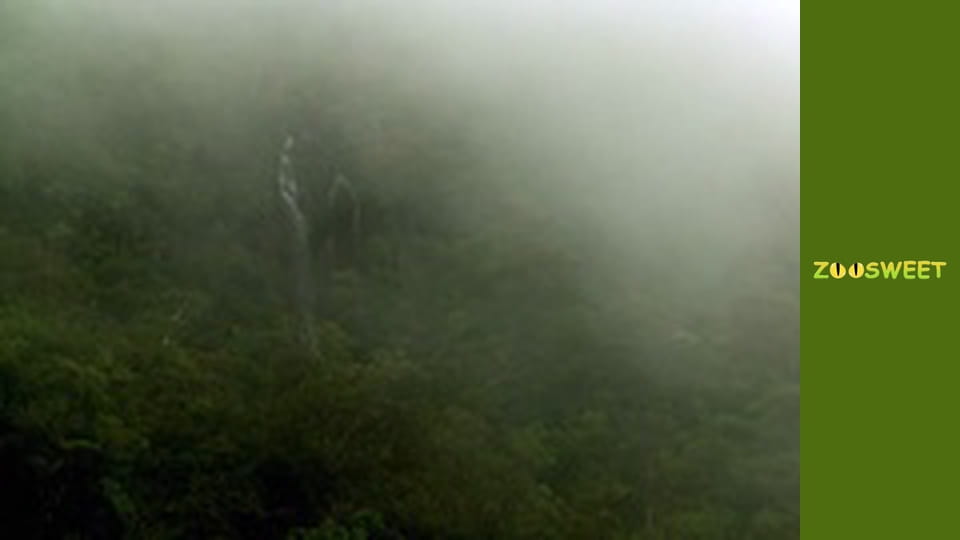 Escape to nature - episode 1