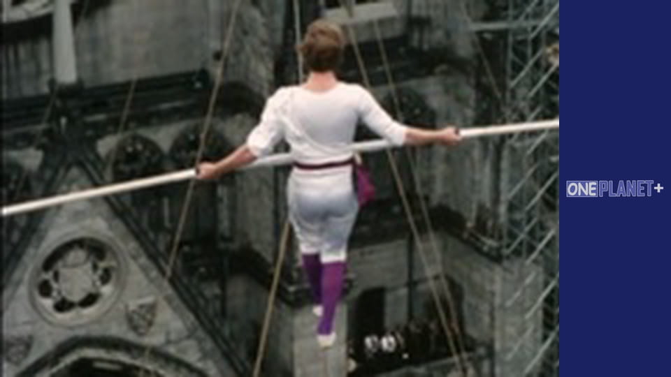 In search of knowledge. - episode 28