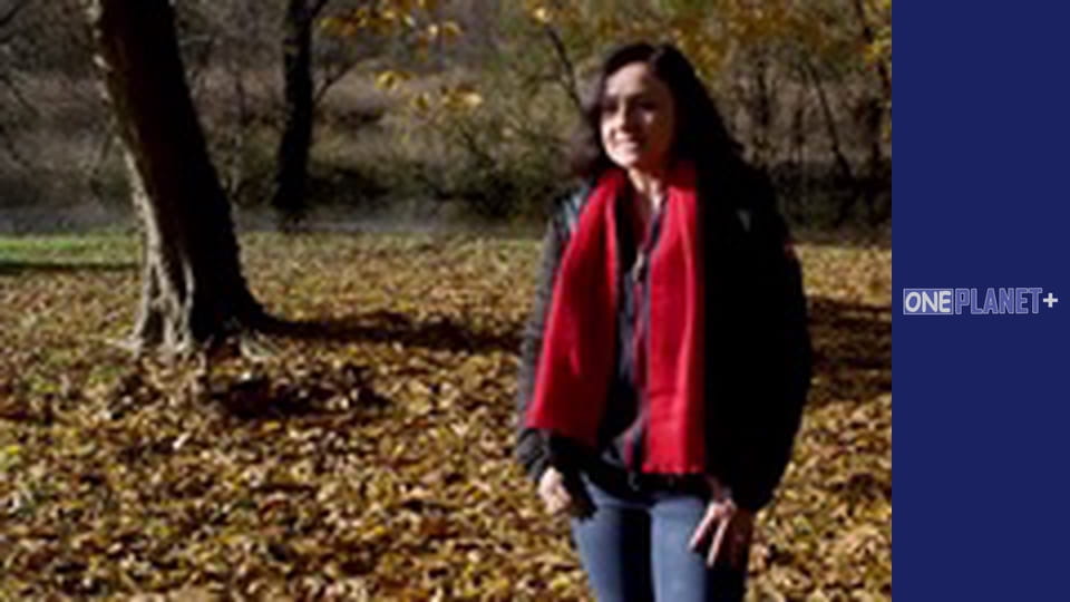 Подорож у Минуле, Випуск 14